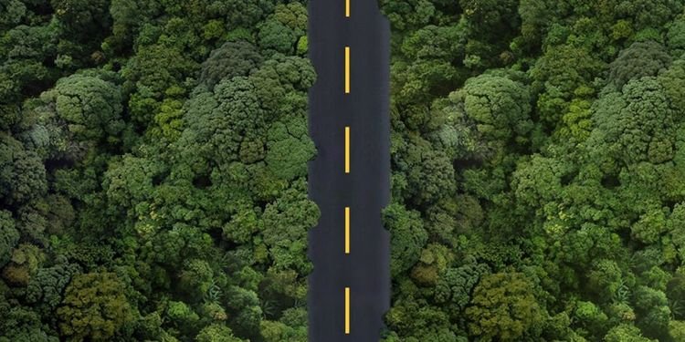 Developing an Effective ESG Strategy