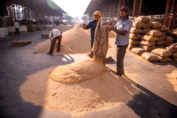 Strategic Decisions in India's Feed Industry
