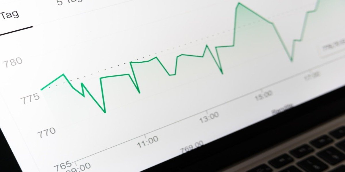 ERP Selection in SMEs: Understanding Risk Attitude