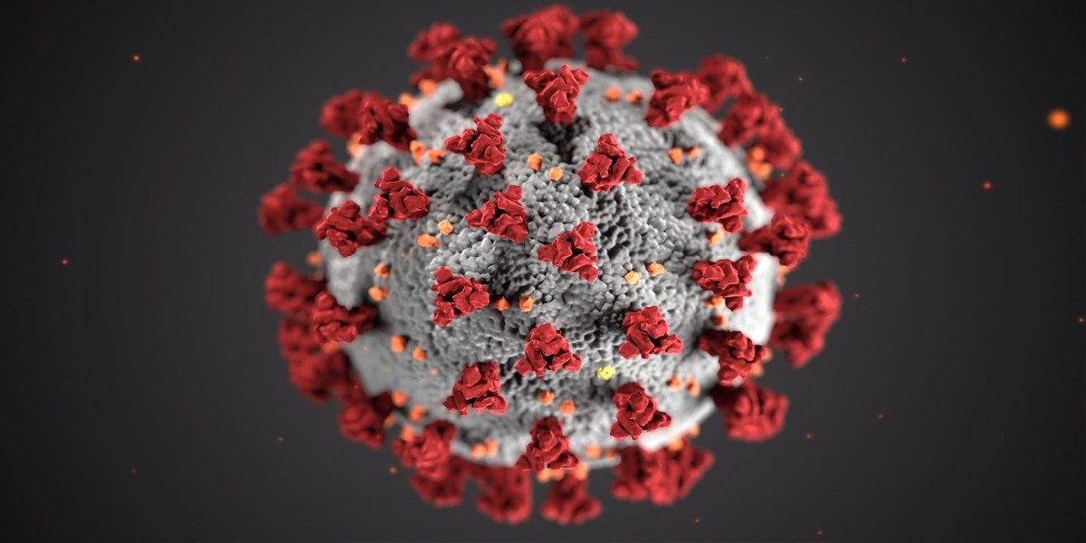 Old World Diseases In The Brave New World