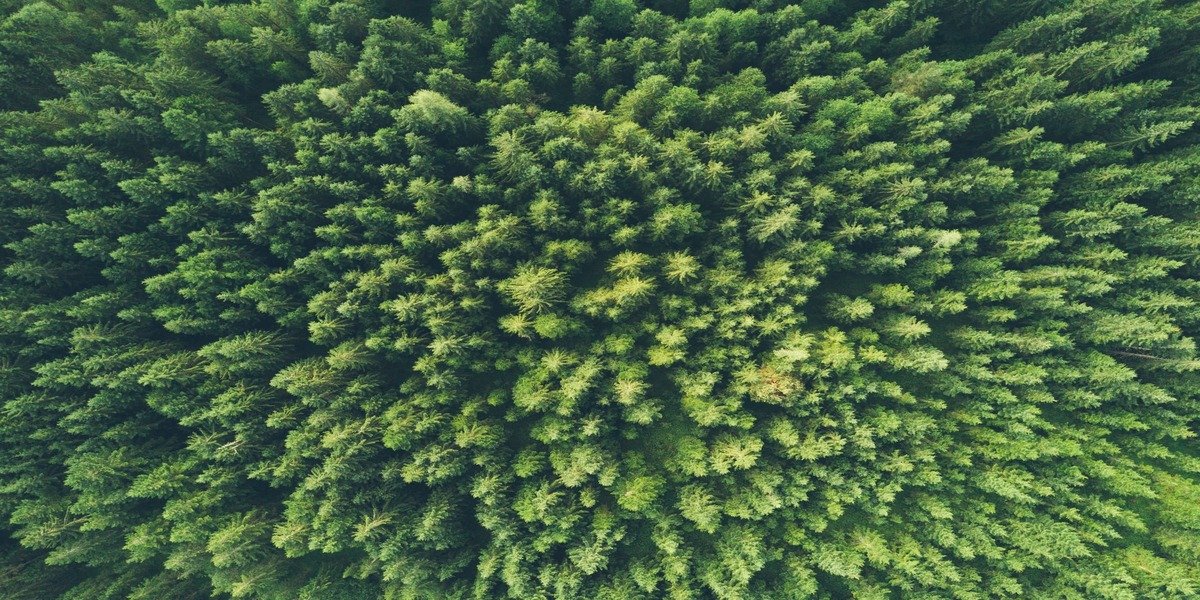 A Note On The Environment
