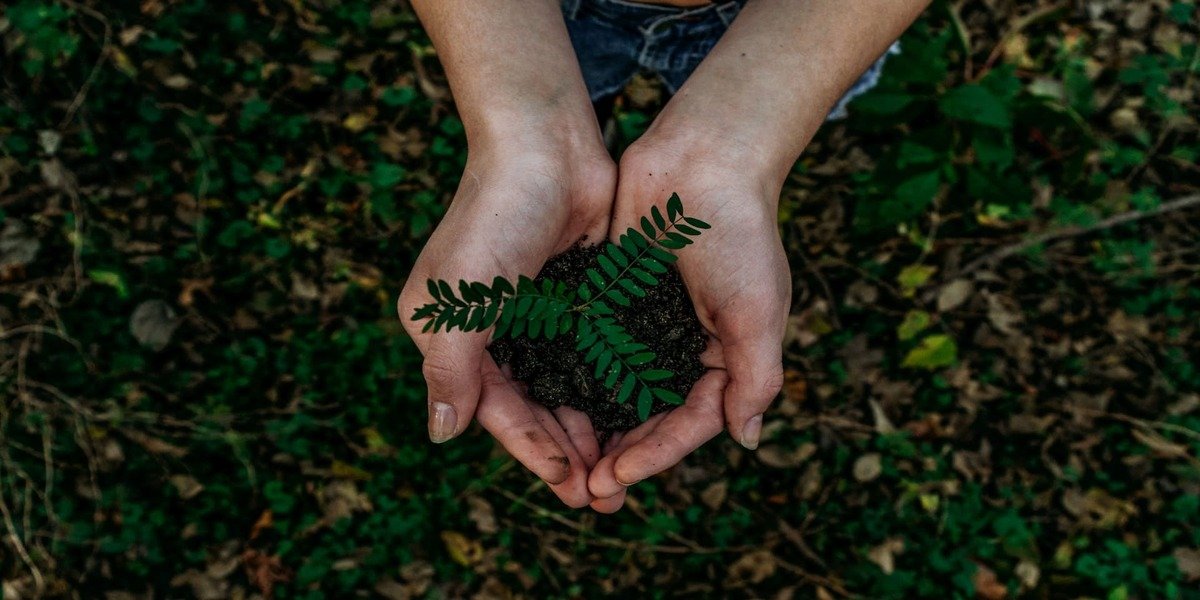 Renewables Lead Sustainable Investment