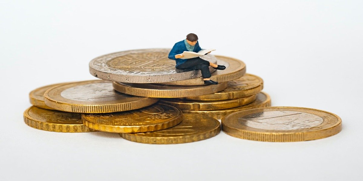 The B2C Sharing Economy: Sustainable Growth