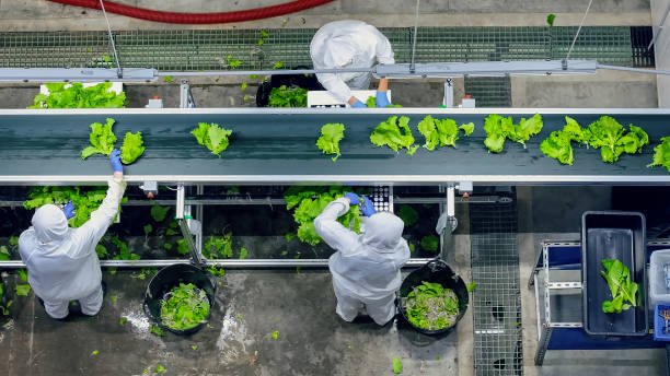 Optimizing Agri-Supply Chains