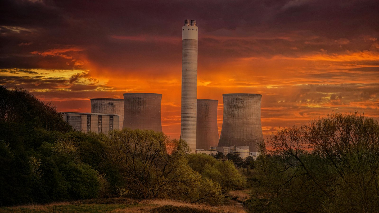 Rethinking Thermal Power Through Biomass