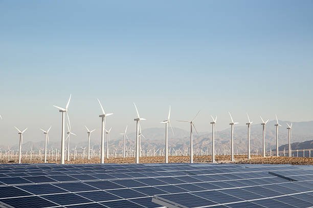 Maximizing Value in Renewable Portfolios