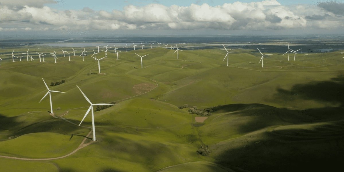 Green & Clean Technologies For Novel Nutraceuticals